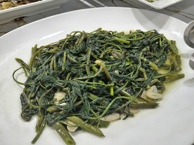 フィリピン留学 Cebu21 - Winning English Academy City-Meal-60